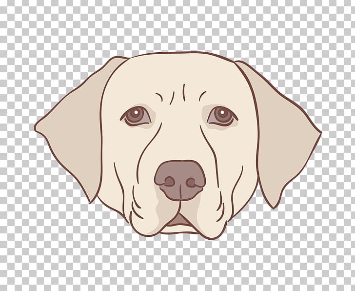 Puppy Labrador Retriever Drawing PNG, Clipart, Animal, Animals, Art, Carnivoran, Cartoon Free PNG Download