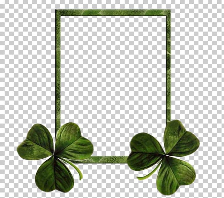 Shamrock Saint Patrick's Day Ireland Irish People PNG, Clipart,  Free PNG Download