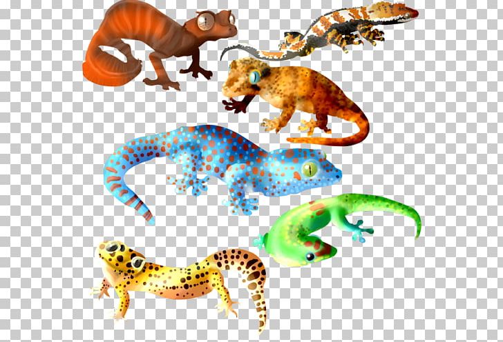 Tokay Gecko Lizard Gargoyle Gecko Crested Gecko PNG, Clipart, Animal, Animal Figure, Animals, Common Leopard Gecko, Cute Smiling Leopard Gecko Lizard Free PNG Download