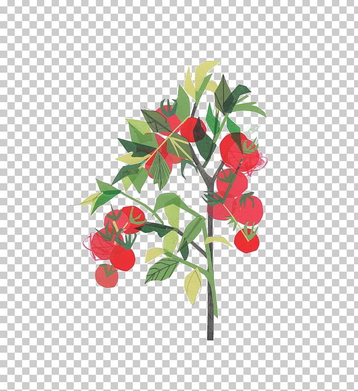 Tomato Clover Collage Illustrator Illustration PNG, Clipart, Artist, Balloon Cartoon, Boy Cartoon, Branch, Cartoon Free PNG Download