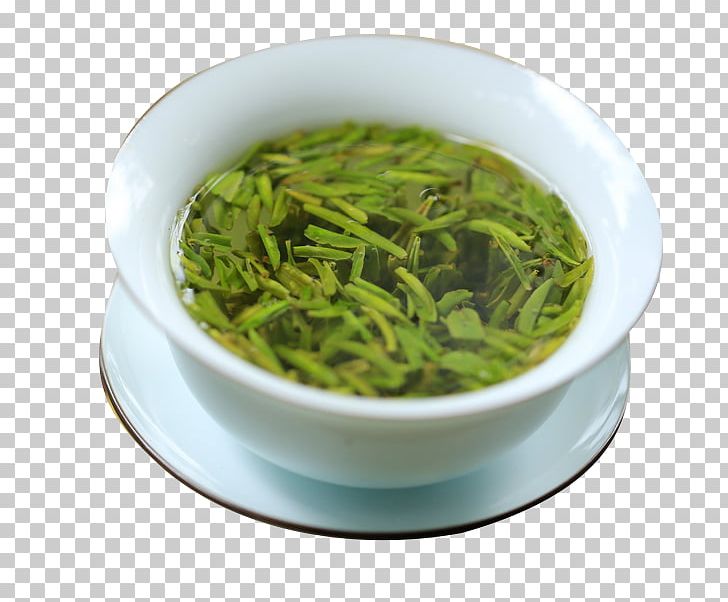 Xinyang Maojian Tea Sencha Longjing Tea Shincha PNG, Clipart, Aonori, Asian Food, Biluochun, Brewing, Brewing Tea Free PNG Download