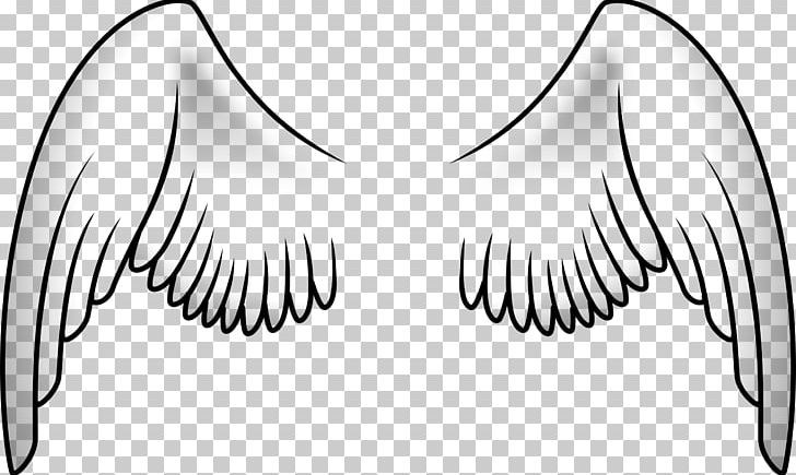 Bird Wing Parrot PNG, Clipart, Angel Wing, Angle, Animals, Arm, Artwork Free PNG Download