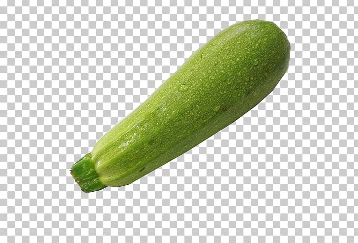 Cucumber Pumpkin Vegetable Melon PNG, Clipart, Chayote, Cucumber, Cucumber Gourd And Melon Family, Cucumis, Designer Free PNG Download