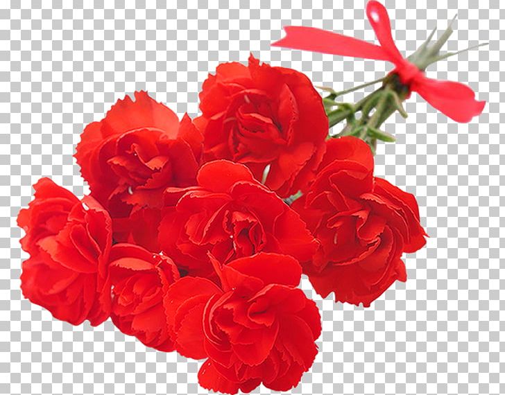 Cut Flowers Mother's Day Centifolia Roses Garden Roses PNG, Clipart, Annual Plant, Artificial Flower, Carnation, Centifolia Roses, Cut Flowers Free PNG Download