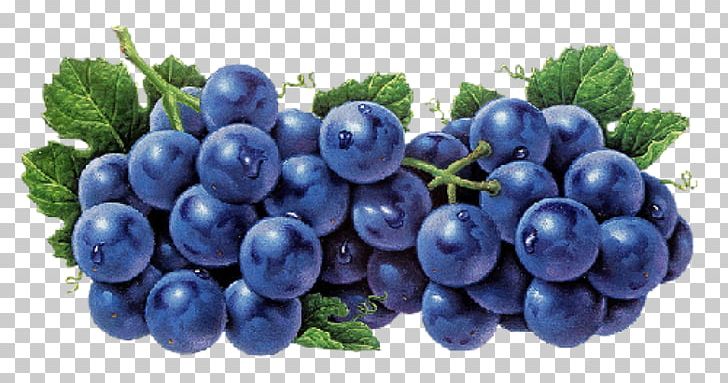 Grape Food Fruit Vegetable Auglis PNG, Clipart, Auglis, Bilberry, Blueberry, Breakfast, Food Free PNG Download