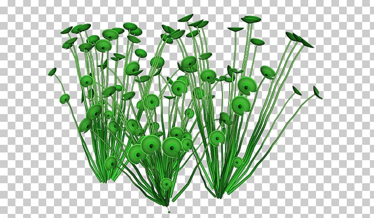 Leaf Vegetable Herb Flowerpot Plant Stem PNG, Clipart, Flower, Flowerpot, Grass, Herb, Herbalism Free PNG Download