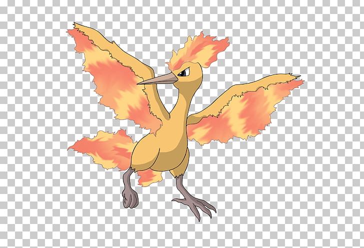 Pokémon X And Y Moltres Zapdos Entei PNG, Clipart, Art, Articuno, Beak, Bird, Charizard Free PNG Download
