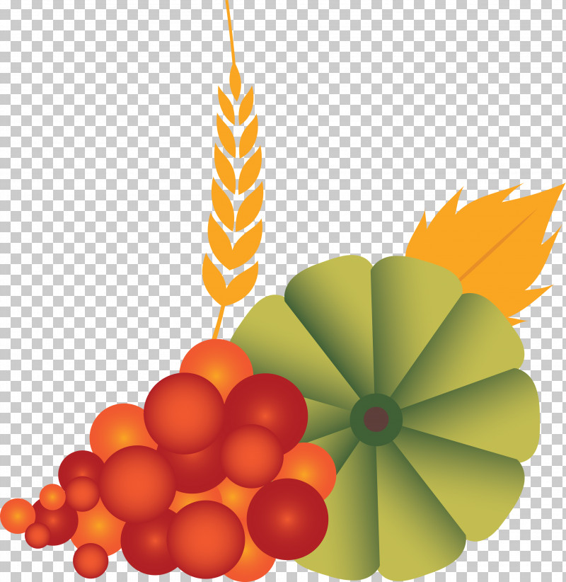 Vegetable Harvest Autumn PNG, Clipart, Autumn, Christmas Day, Christmas Ornament, Hahn Hotels Of Sulphur Springs Llc, Harvest Free PNG Download