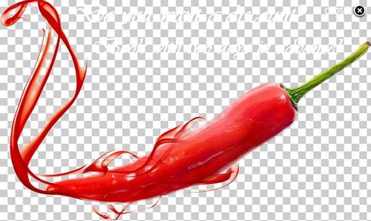Cayenne Pepper Chili Pepper Smoking Hot Sauce Spice PNG, Clipart, Bell Peppers And Chili Peppers, Birds Eye Chili, Black Pepper, Capsaicin, Capsicum Free PNG Download
