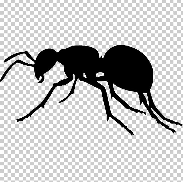 The Ant Silhouette Insect PNG, Clipart, Animals, Ant, Antz, Arthropod, Beetle Free PNG Download