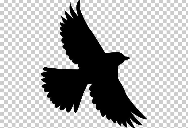 Bird T-shirt Owl Parrot Stork PNG, Clipart, Accipitriformes, Animals, Beak, Bird, Bird Of Prey Free PNG Download