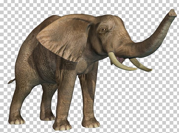 African Elephant Indian Elephant PNG, Clipart, African, African Animals, Animal, Animals, Download Free PNG Download