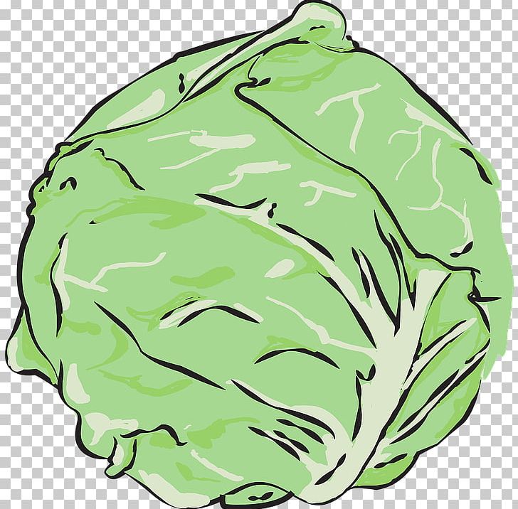 Cabbage Vegetable Lettuce Sandwich Kale PNG, Clipart, Brassica Oleracea, Cabbage, Carrot, Carrot Juice, Cauliflower Free PNG Download