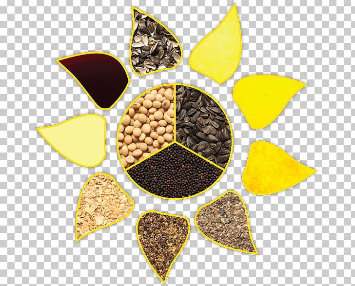 Grist Agriculture Common Sunflower Sunflower Oil PNG, Clipart, Agriculture, Auglis, C Co, Common Sunflower, Flower Free PNG Download
