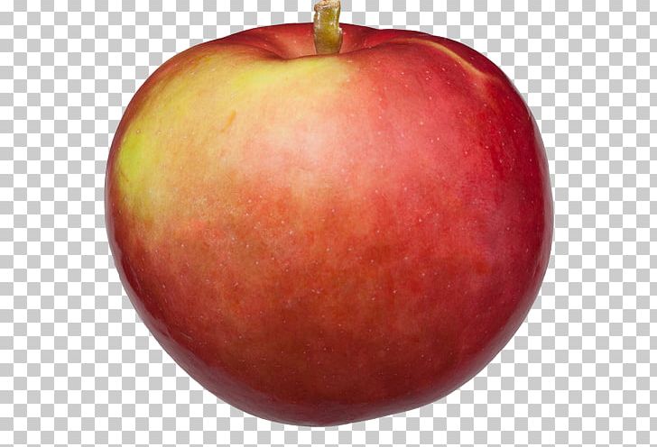 McIntosh Red Michigan Crisp Apple PNG, Clipart, Apple, Cooking Apple, Cortland, Crisp, Empire Apples Free PNG Download