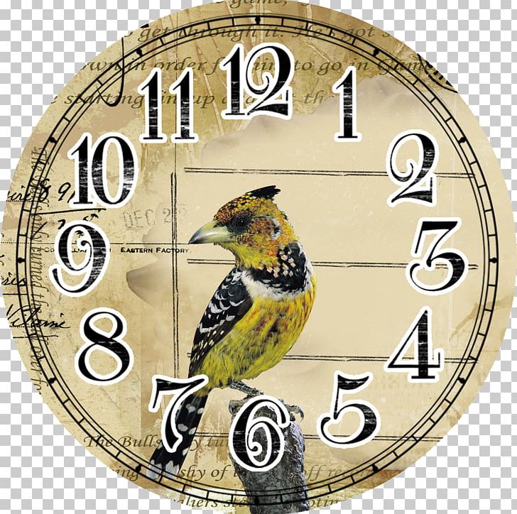 Quartz Clock Clock Face PNG, Clipart, Accessories, Antique, Apple Watch, Beak, Clock Free PNG Download
