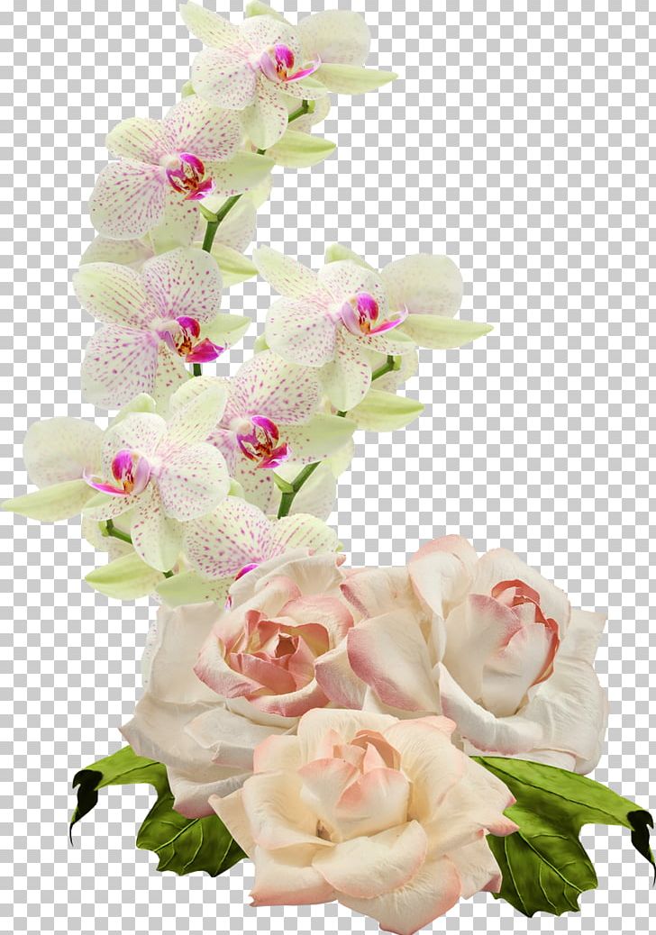 Floral Design Cut Flowers Moth Orchids PNG, Clipart, Artificial Flower, Cut Flowers, Floral Design, Floristry, Flower Free PNG Download