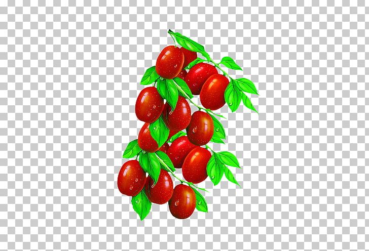 Jujube Tea Food Tomato PNG, Clipart, Acerola Family, Berry, Cherry, Dried Fruit, Fruit Free PNG Download