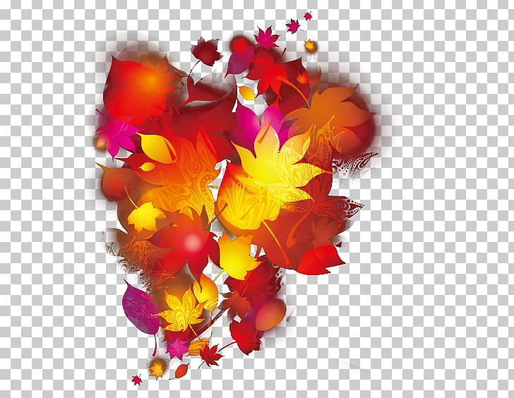 Maple Leaf PNG, Clipart, Autumn, Autumn Leaf, Combustion, Decorative Patterns, Designer Free PNG Download