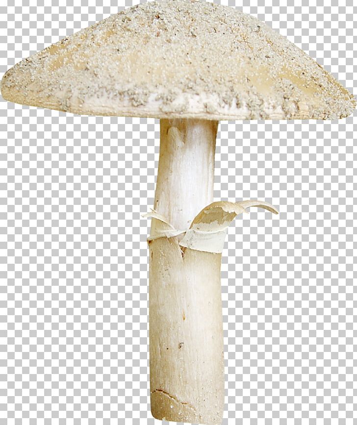 Mushroom Hericium Erinaceus PNG, Clipart, Computer Icons, Dots Per Inch, Download, Encapsulated Postscript, Hericium Erinaceus Free PNG Download