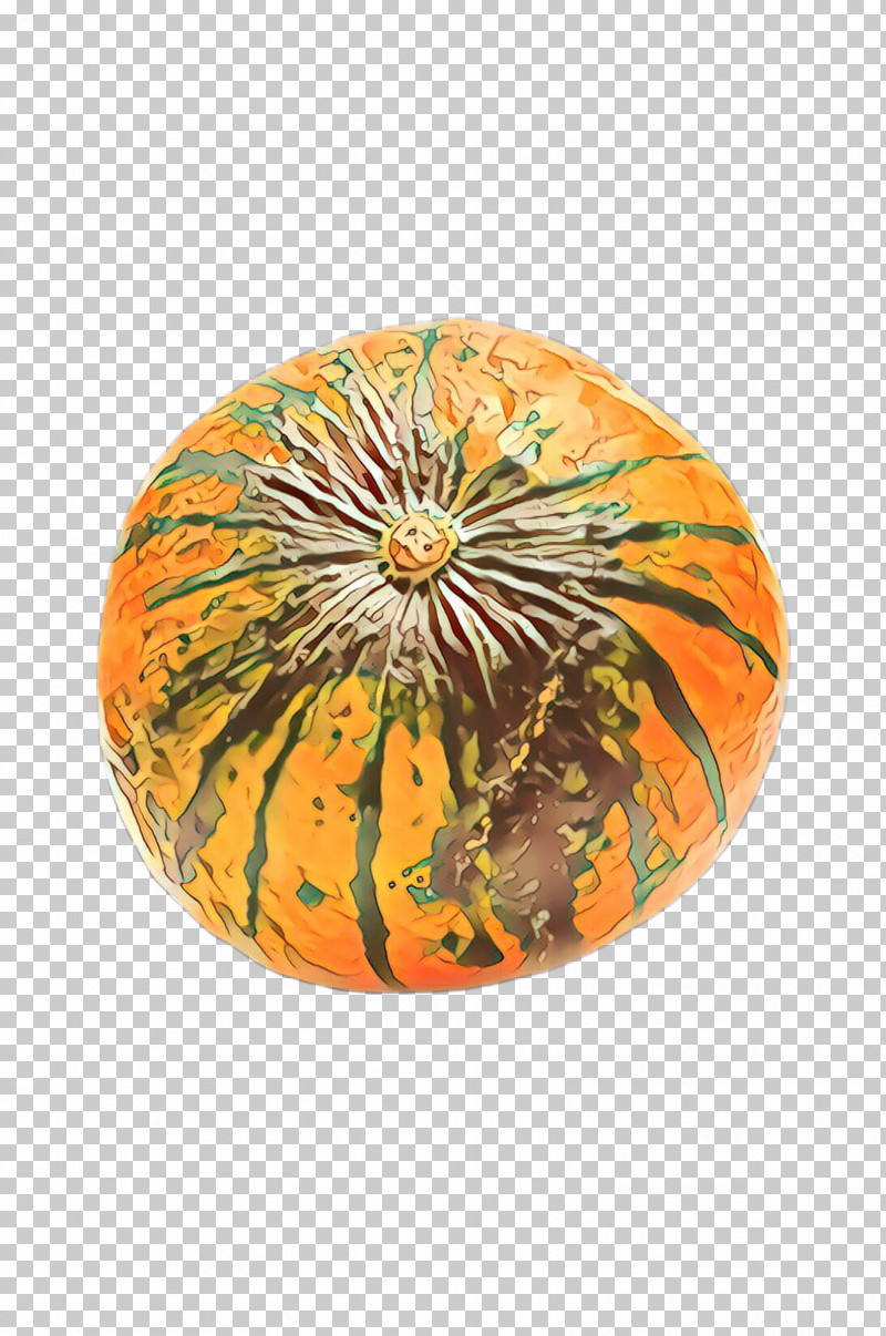 Orange PNG, Clipart, Ceramic, Orange, Plant Free PNG Download