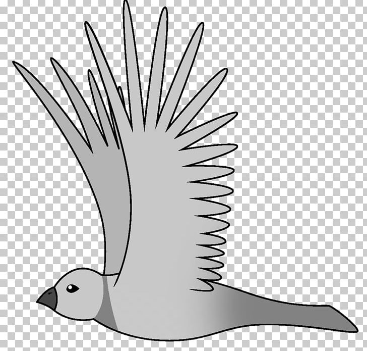 Bird Flight Bird Flight Animation PNG, Clipart, Animals, Animation, Beak, Bird, Bird Flight Free PNG Download