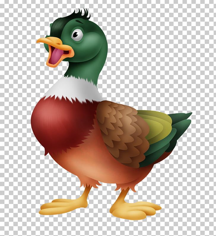 Duck Portable Network Graphics Blog Illustration PNG, Clipart, Animal, Animals, Animated Cartoon, Beak, Bird Free PNG Download