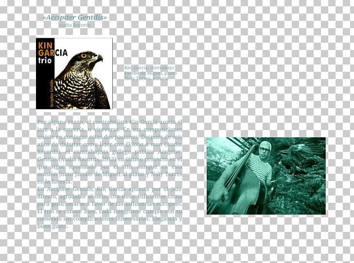 Animal Brochure PNG, Clipart, Animal, Brand, Brochure, Fauna, Organism Free PNG Download