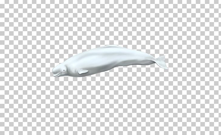 Dolphin PNG, Clipart, Animals, Approximately, Beluga, Dolphin, Laurent Free PNG Download