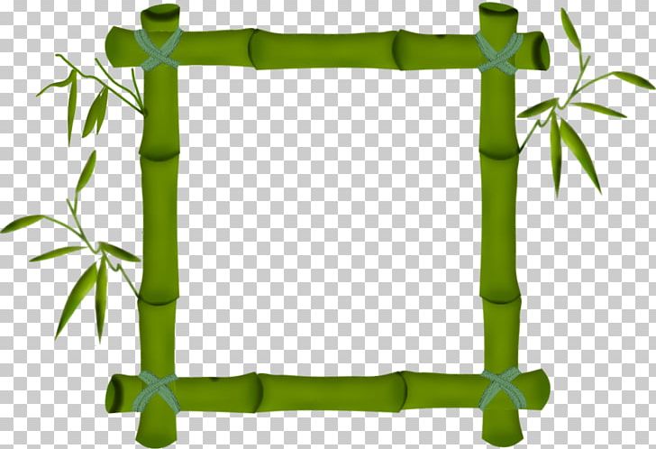 Frames Photography Bamboe PNG, Clipart, Bamboe, Bamboo, Border, Canvas, Fond Blanc Free PNG Download