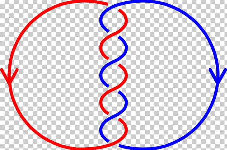 Linking Number Curve Knot Theory Mathematics PNG, Clipart, Algebraic Topology, Angle, Area, Blue, Carl Friedrich Gauss Free PNG Download