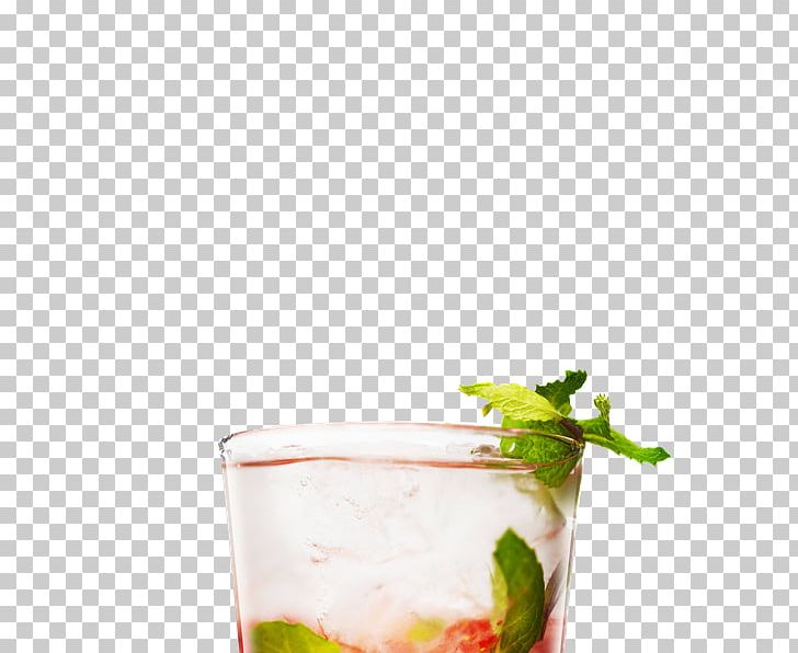 Mojito Cocktail Garnish Bacardi Cocktail Juice PNG, Clipart, Absolut Vodka, Alcoholic Drink, Bacardi Cocktail, Cocktail, Cocktail Garnish Free PNG Download