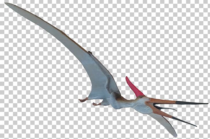 Pteranodon Mosasaurus Elasmosaurus Ichthyornis Quetzalcoatlus PNG, Clipart, Ark Survival Evolved, Beak, Bennettazhia, Carnotaurus, Dinosaur Free PNG Download
