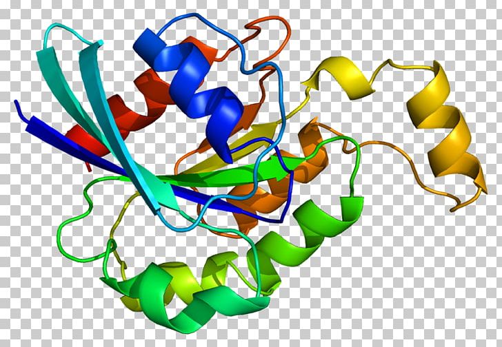 Rho Family Of GTPases Protein Structure RHOA PNG, Clipart, 1 A, 2 B ...