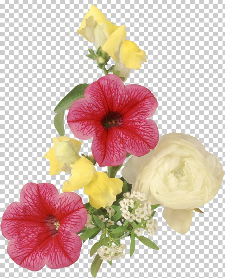 Flower Floral Design Albom PNG, Clipart, Albom, Annual Plant, Blog, Cut Flowers, Download Free PNG Download