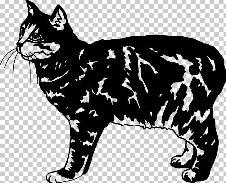 Manx Cat Whiskers Wildcat Domestic Short-haired Cat Burmese Cat PNG, Clipart, Big Cats, Birman, Black, Black And White, Breed Free PNG Download