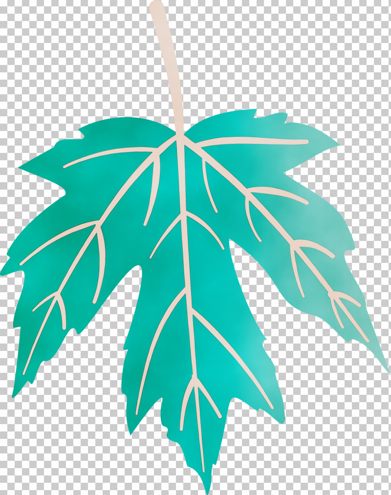 Leaf Plant Stem Symmetry Tree Plants PNG, Clipart, Autumn Leaf, Biology, Colorful Leaf, Colorful Leaves, Colourful Foliage Free PNG Download