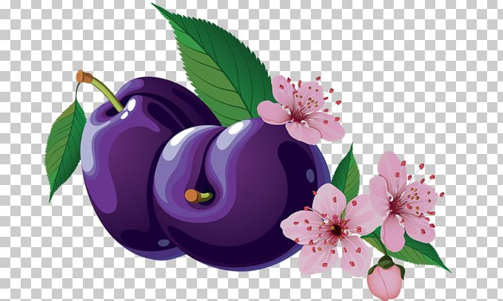 Plum PNG, Clipart, Color, Flower, Flowering Plant, Fruit, Graphic Designer Free PNG Download