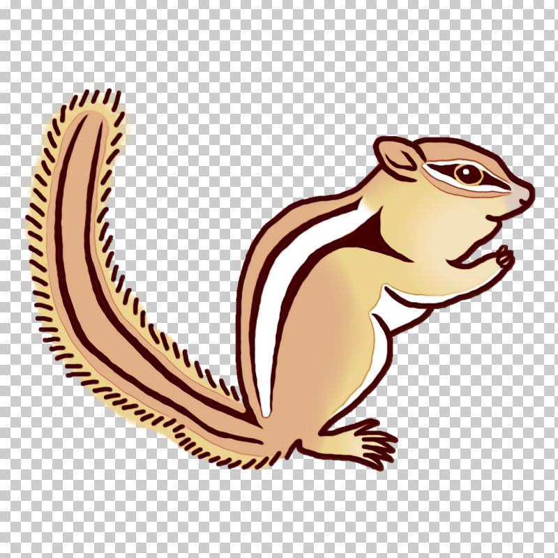 Chipmunk Squirrels Reptiles Character 02021 PNG, Clipart, Biology, Character, Character Created By, Chipmunk, Paint Free PNG Download