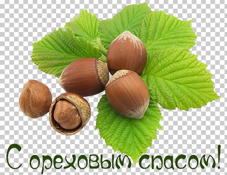 Bread Savior Day Savior Of The Apple Feast Day Hazelnut Savior Of The Honey Feast Day PNG, Clipart, 29 August, Daytime, Hazel, Hazelnut, Holiday Free PNG Download