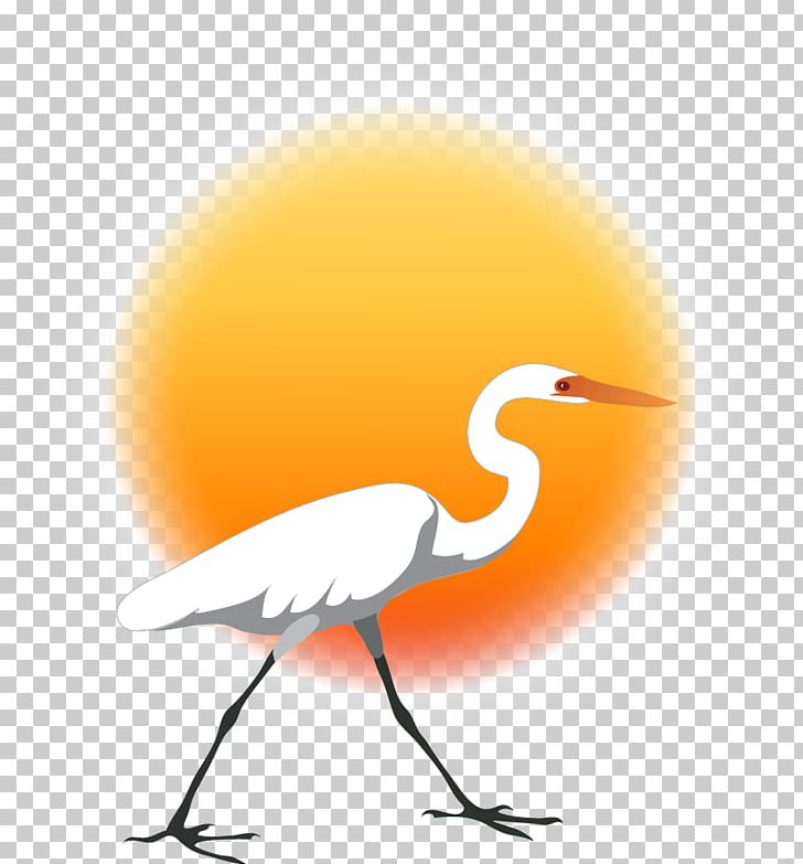 Water Bird Crane Beak Wing PNG, Clipart, Animal, Animals, Beak, Bird, Computer Free PNG Download