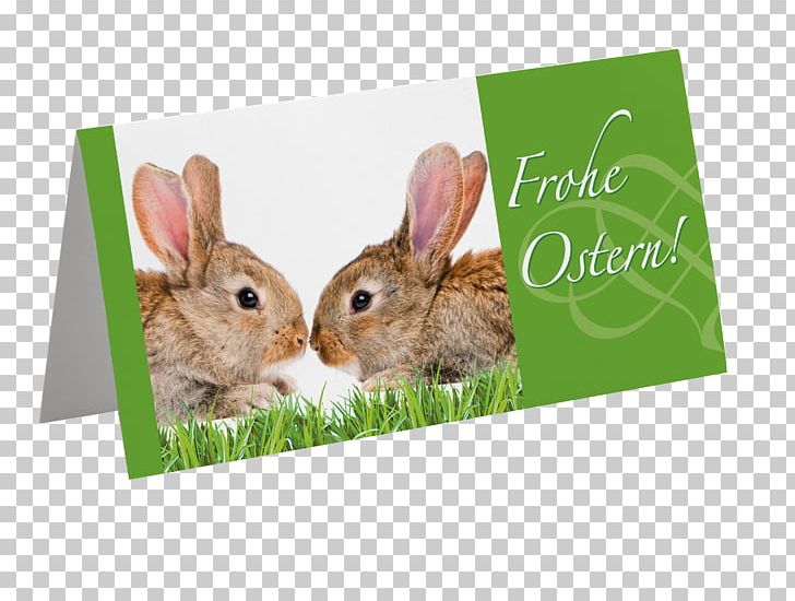 Domestic Rabbit Hare Fauna PNG, Clipart, Domestic Rabbit, Fauna, Frohe Ostern, Hare, Rabbit Free PNG Download