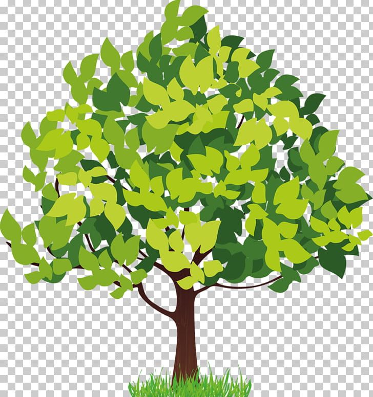 Four Seasons Hotels And Resorts Tree PNG, Clipart, Autumn, Branch, Clip Art, Drawing, Four Seasons Hotels And Resorts Free PNG Download