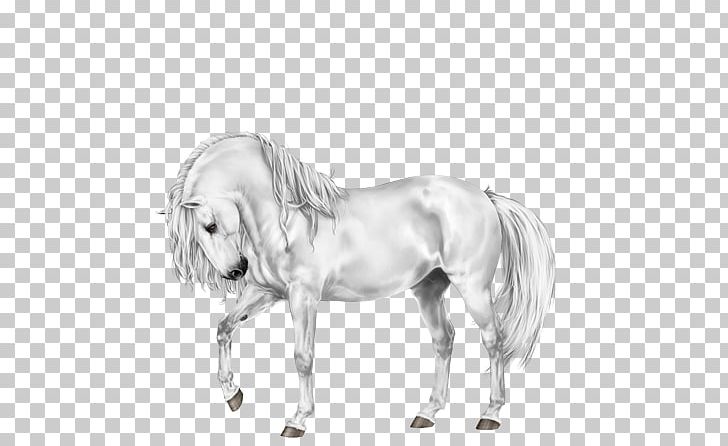 Halter Mustang Stallion Bridle Sketch PNG, Clipart, Black And White, Breed, Bridle, Convex, Drawing Free PNG Download