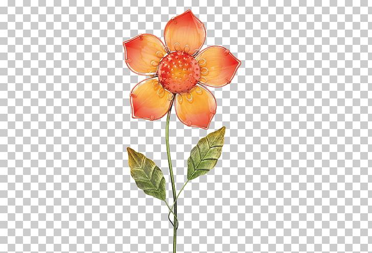 Orange Flower Garden Petal PNG, Clipart, Art, Artificial Flower, Back Garden, Blue, Color Free PNG Download