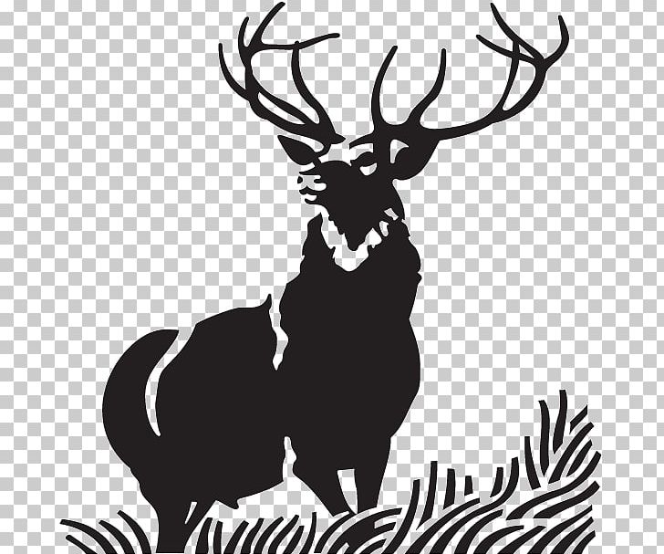 Red Deer Elk Moose PNG, Clipart, Animals, Antler, Art, Artwork, Black And White Free PNG Download