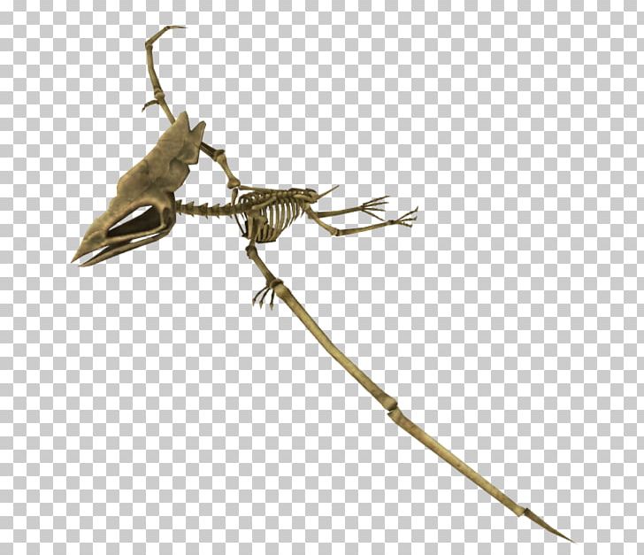 Reptile Insect Pest PNG, Clipart, Animals, Fauna, Fossil Fighters Frontier, Insect, Invertebrate Free PNG Download