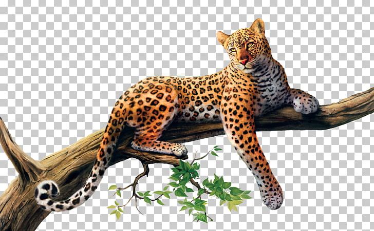 African Leopard Cheetah Tree Drawing Desktop PNG, Clipart, African Leopard, Animal, Animal Figure, Animals, Art Free PNG Download