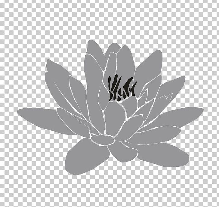 White Flowering Plant PNG, Clipart, Black And White, Boat Orchid, Flora, Flower, Flowering Plant Free PNG Download