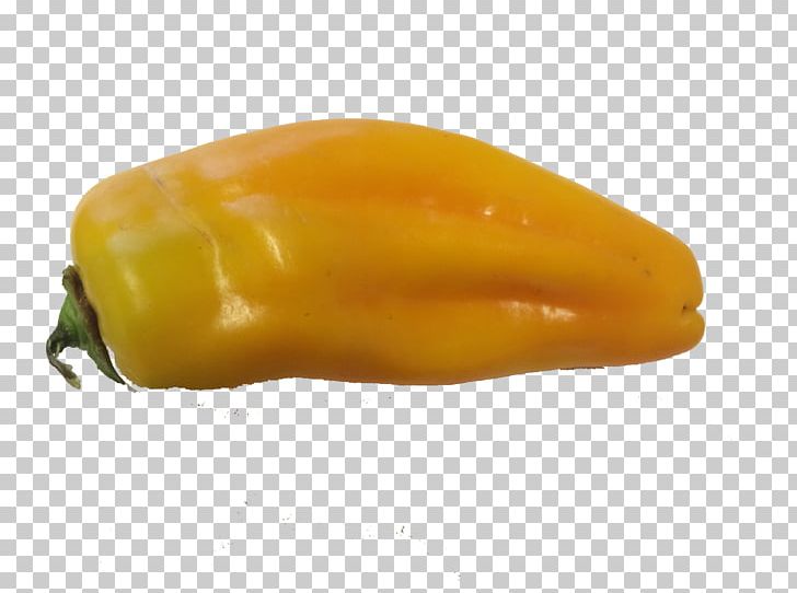 Habanero Serrano Pepper Yellow Pepper Bell Pepper Paprika PNG, Clipart, Bell Pepper, Bell Peppers And Chili Peppers, Capsicum Annuum, Chili Pepper, Fruit Free PNG Download